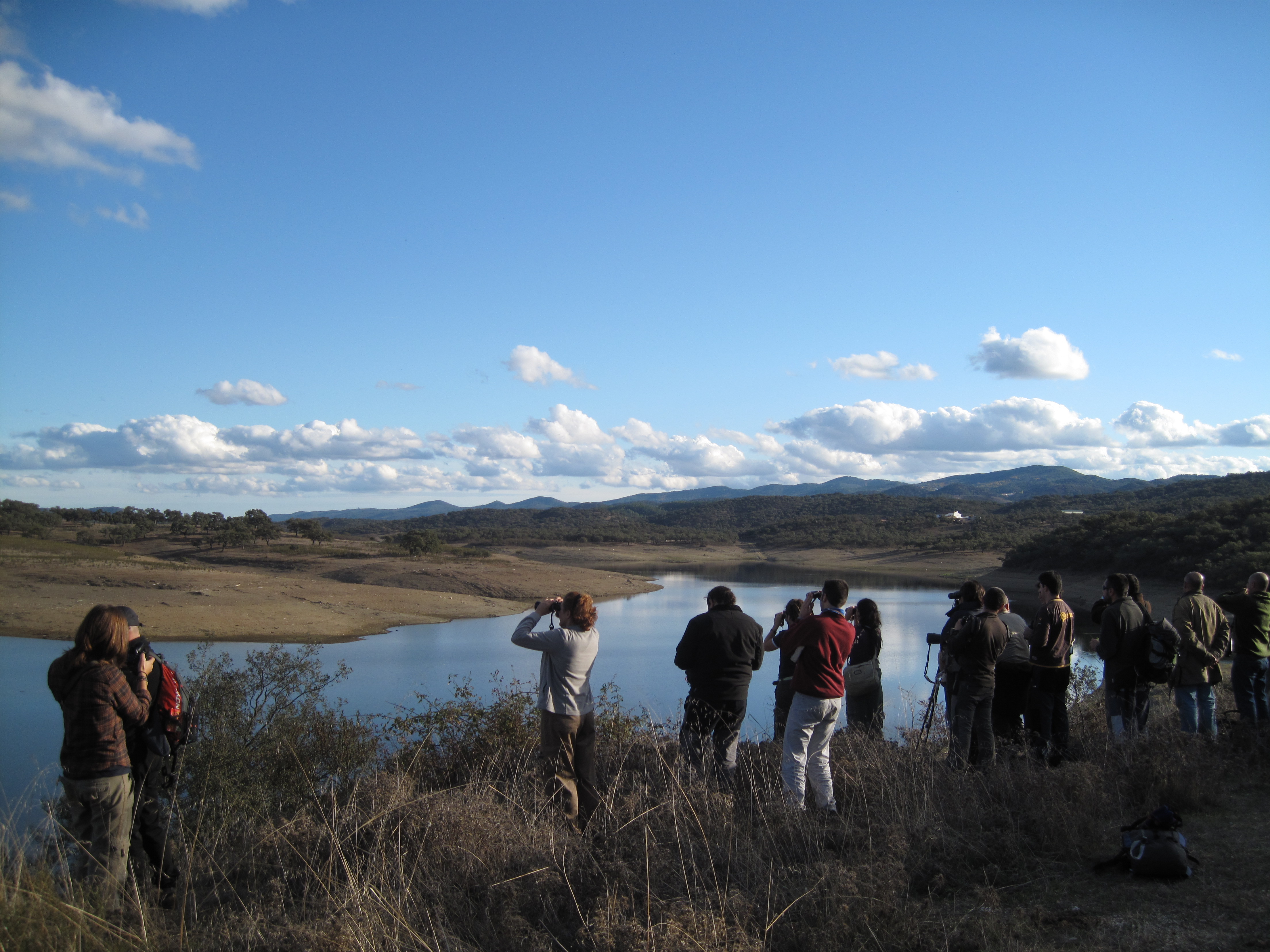 EL GDR SIERRA DE ARACENA Y PICOS DE AROCHE PARTICIPA EN EL PROYECTO INTERREG – POCTEP, SOBRE “CONSERVACIÓN, PROTECCIÓN Y VALORIZACIÓN DEL PATRIMONIO ORNITOLÓGICO”